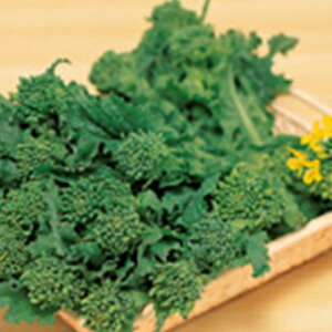 Ђ  y ԏԍ z q 2dl i   ؎q ؎ j