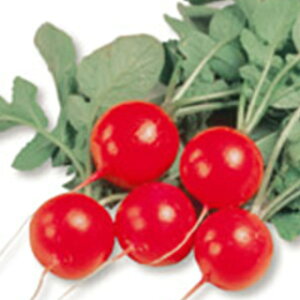 卪  y  z q 2dl i   ؎q ؎ j 