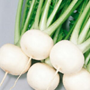 Ju  y  z q 2dl i   ؎q ؎ j