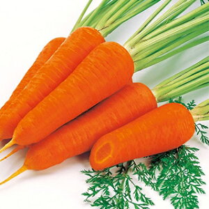 ɂ񂶂  y t`ܐ z q 2dl i   ؎q ؎ j