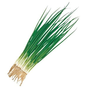 lM  y  z q 2dl i   ؎q ؎ j