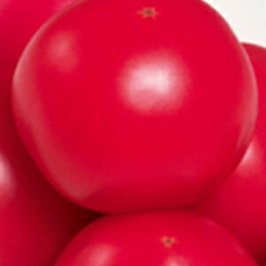 ʃg}g  yg}ghz 20ml i   ؎q ؎ j