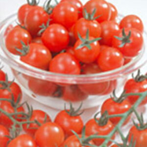 ~jg}g  y~jLz 5ml i   ؎q ؎ j