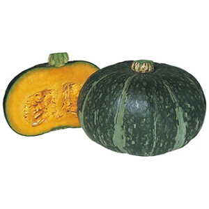 ڂ  y Ge z q 2dl i   ؎q ؎ j