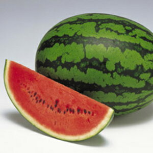 XCJ  yg܂z 200 i   ؎q ؎ j