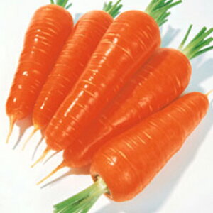 ɂ񂶂  y z z q ܁i200j i   ؎q ؎ j 