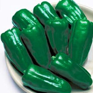 s[}  y g z (45) ( s[}̎ )