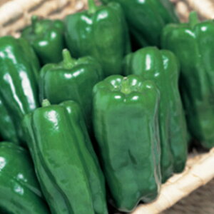 s[}  y Ђ z  DF (27) ( s[}̎ )