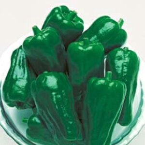 s[}  y 䂽 z (35) ( s[}̎ )