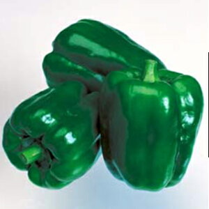 s[}  y j[EG[X z (60) ( s[}̎ )