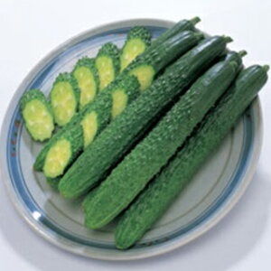 イ  yVLbgz 350 i   ؎q ؎ j