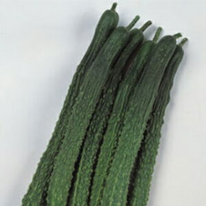 イ  y鐬ltz 350 i   ؎q ؎ j