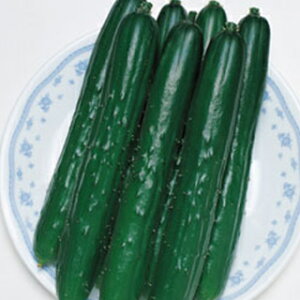 イ  y΂z 350 i   ؎q ؎ j