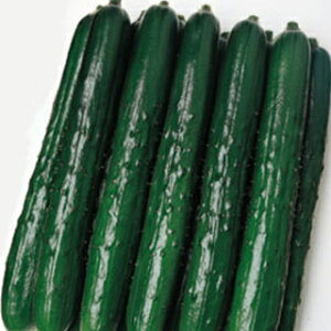 イ  y⑾Yz 350 i   ؎q ؎ j