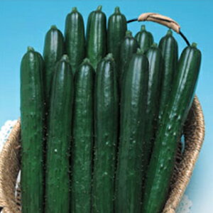 イ  yĂ΂₵z 350 i   ؎q ؎ j