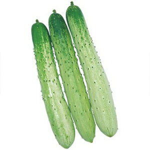 イ  yߐz 350 i   ؎q ؎ j