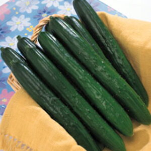 イ  yV[hz 350 i   ؎q ؎ j