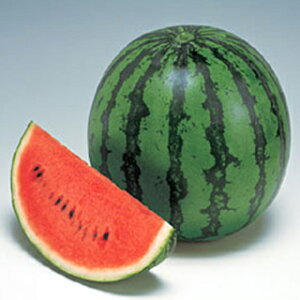 XCJ  yGRz 200 i   ؎q ؎ j