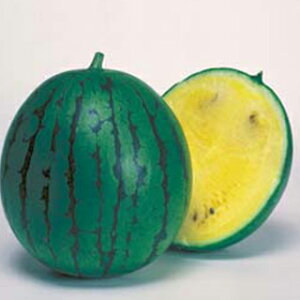 XCJ  yj[܁z 200 i   ؎q ؎ j