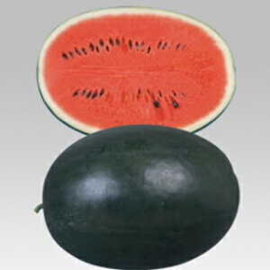 XCJ  ys}X^2z 200 i   ؎q ؎ j