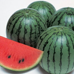 XCJ  ygz 200 i   ؎q ؎ j