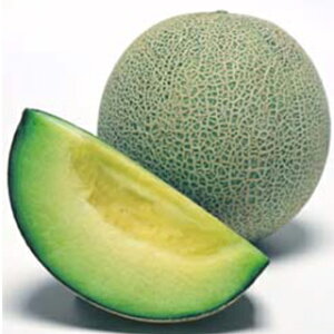   y pi z (DF 8) ( ̎ )