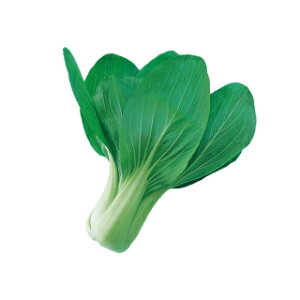 񂰂  y 햡 z q 2dl i   ؎q ؎ j