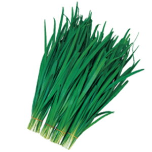 �ɂ� �� �y �X�[�p�[�O���[���x���g �z ��q ���܁i��20ml�j �i �� ��� ��؎�q ��؎� �j