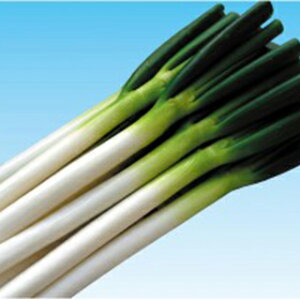 lM  y Piイj z q 2dl i   ؎q ؎ j