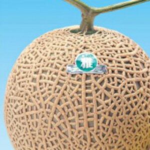   y302z 100 i   ؎q ؎ j