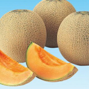   yẴNCV[z 100 i   ؎q ؎ j