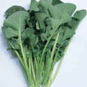 ioi  y t z q 2dl i   ؎q ؎ j