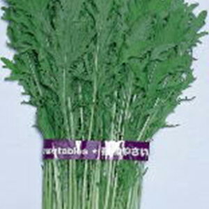 ؁E炵  y AX炵 z q ܁i20mlj i   ؎q ؎ j