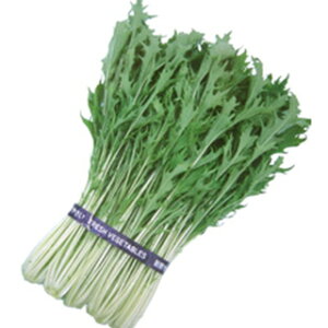   y l z q 1dl i   ؎q ؎ j