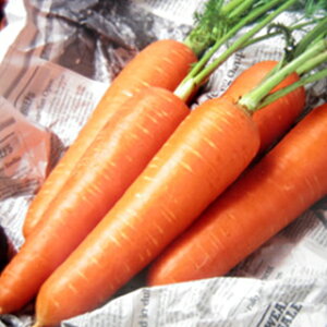 ɂ񂶂  y gܐ2 z q 2dl i   ؎q ؎ j