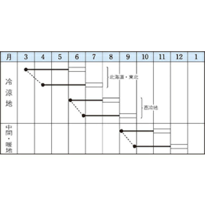 71円 玄関先迄納品 ビーツ種子 デトロイト ダークレッド 9ml 小袋種子 71円 玄関先迄納品 ビーツ種子 デトロイト ダークレッド 9ml 小袋種子