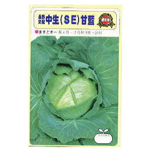 Lxc  y SE z  ( Lxc̎ )