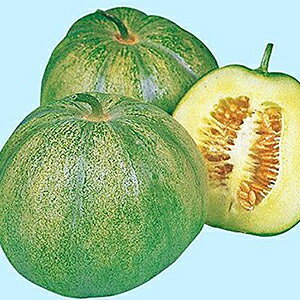 E  y }N Ȃ肭 z  ( E̎ )