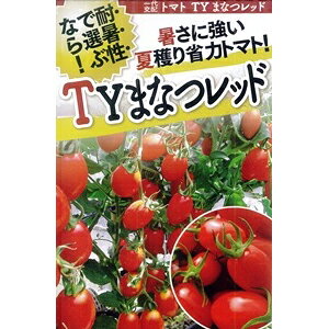 g}g  y TY܂Ȃ z ܁i10j ( g}g̎ )