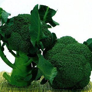 ubR[  y Ƃ z 2000 ( ubR[̎ )