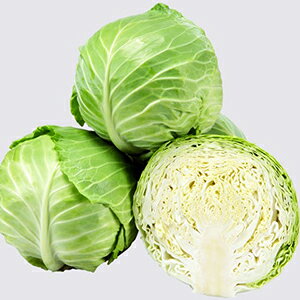 �L���x�c �� �y �n�C�{�[�� �z ���� ( �L���x�c�̎� )