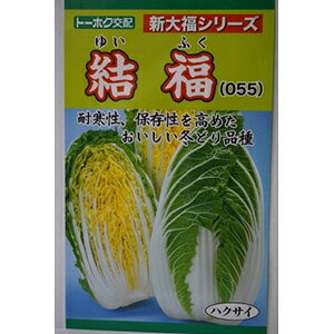 nNTC  y  z ybg5痱 ( nNTC̎ )
