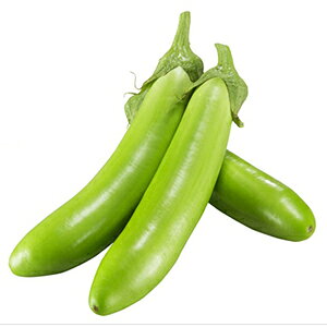 iX  y _ z ܁i0.5mlj ( iX̎ )