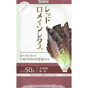 ^X  y @bhC z R[g܁i50j ( ^X̎ )