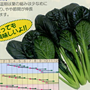 R}ci  y ݂܂ z  ( R}ci̎ )