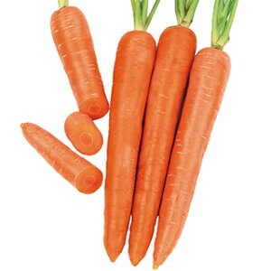 jW  y ܂ܑϕajW@s[X z 珬 ( jW̎ )