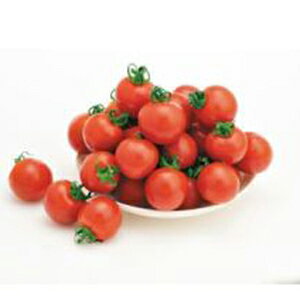 �g�}�g �� �y �~�j�g�}�g�@�ق�܂� �z ���܁i13���j ( �g�}�g�̎� )