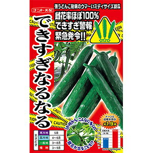 キュウリ 種 【 できすぎなるなる 】 小袋(15粒) ( キュウリの種 )