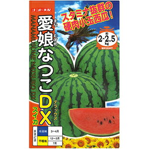 XCJ  y ȂDX z 200 ( XCJ̎ )