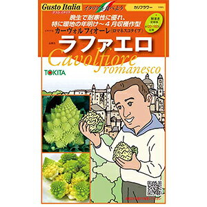 Jt[  y }lXR@t@G z LR[g痱 ( Jt[̎ )